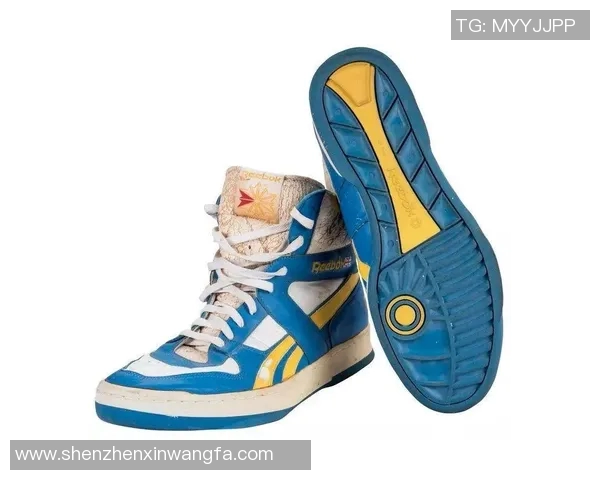 Reebok篮球明星的传奇之路与他们的辉煌成就揭秘