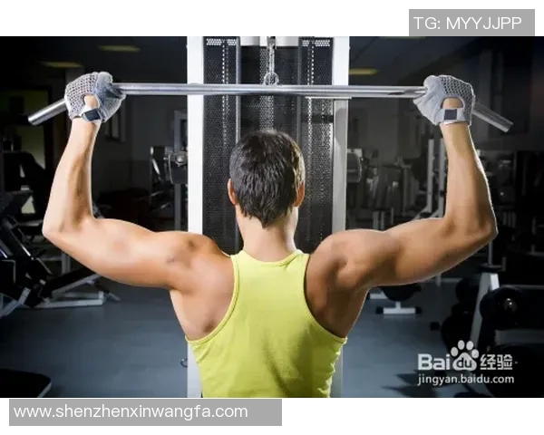 全面提升力量与肌肉的哑铃杠铃健身教程让你轻松塑造完美身材